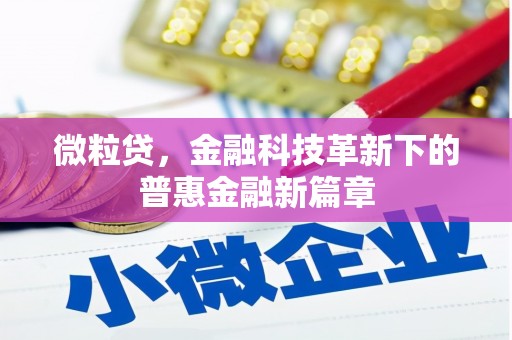 民雄微粒贷，金融科技革新下的普惠金融新篇章