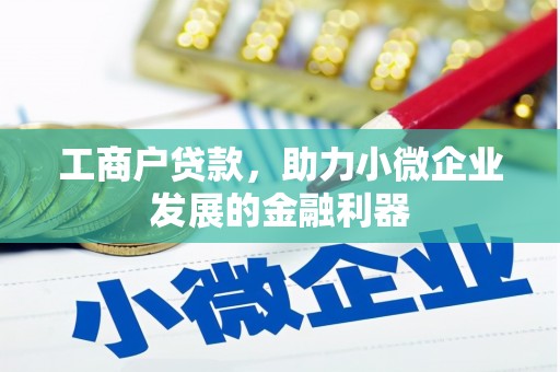 民雄工商户贷款，助力小微企业发展的金融利器