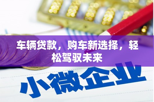 民雄车辆贷款，购车新选择，轻松驾驭未来