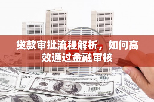 民雄贷款审批流程解析，如何高效通过金融审核