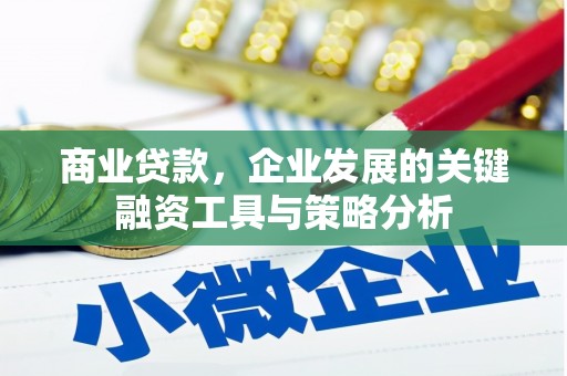 民雄商业贷款，企业发展的关键融资工具与策略分析