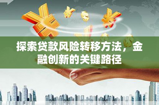 民雄探索贷款风险转移方法，金融创新的关键路径