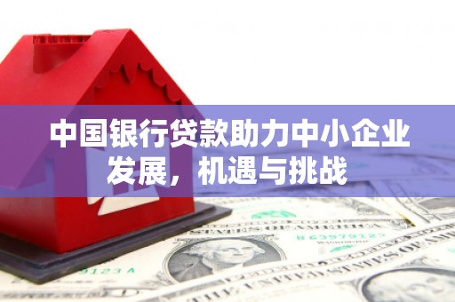 民雄中国银行贷款助力中小企业发展，机遇与挑战