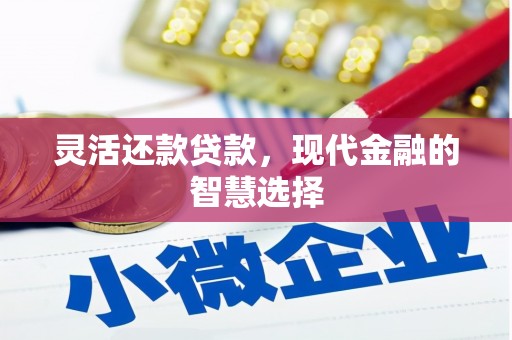 民雄灵活还款贷款，现代金融的智慧选择