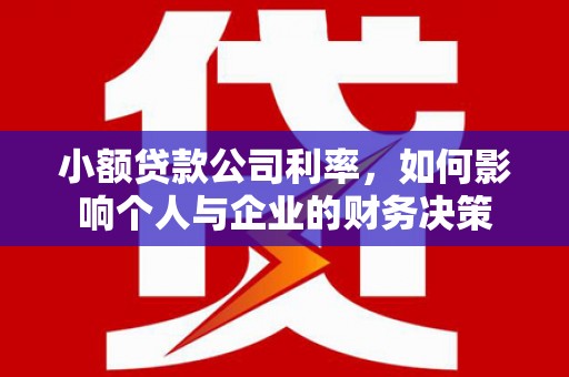 民雄小额贷款公司利率，如何影响个人与企业的财务决策