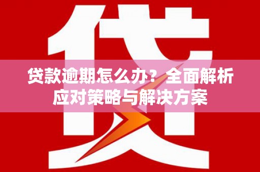 民雄贷款逾期怎么办？全面解析应对策略与解决方案