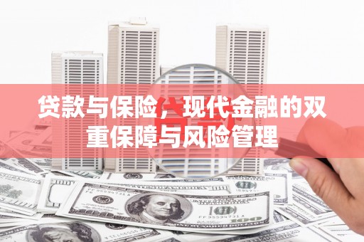 民雄贷款与保险，现代金融的双重保障与风险管理