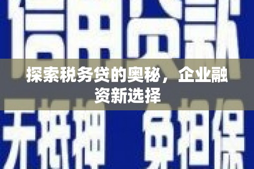 民雄探索税务贷的奥秘，企业融资新选择