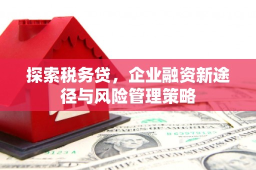 民雄探索税务贷，企业融资新途径与风险管理策略