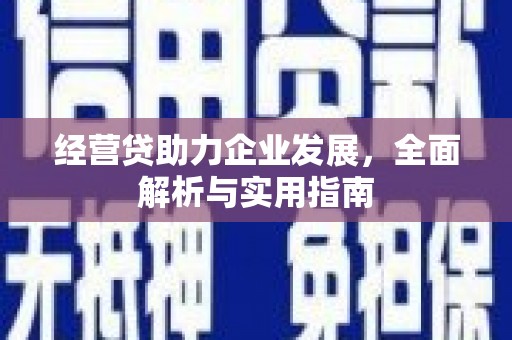民雄经营贷助力企业发展，全面解析与实用指南