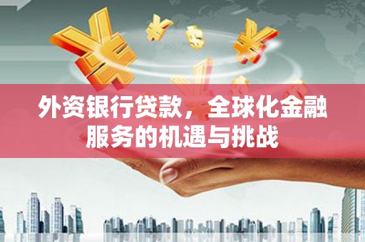 民雄外资银行贷款，全球化金融服务的机遇与挑战