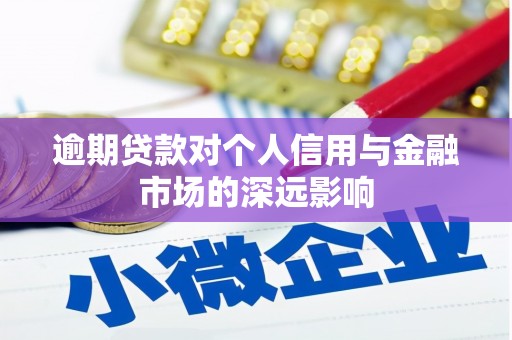 民雄逾期贷款对个人信用与金融市场的深远影响
