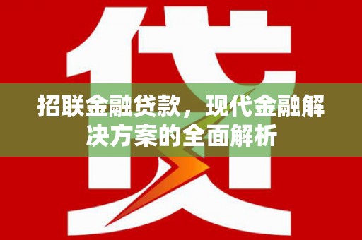 民雄招联金融贷款，现代金融解决方案的全面解析