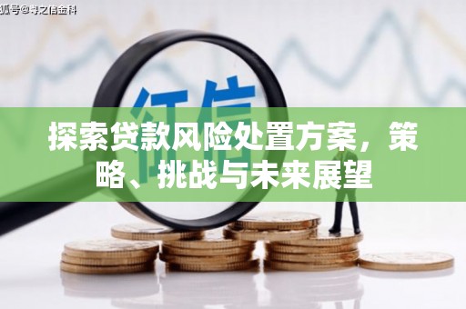 民雄探索贷款风险处置方案，策略、挑战与未来展望