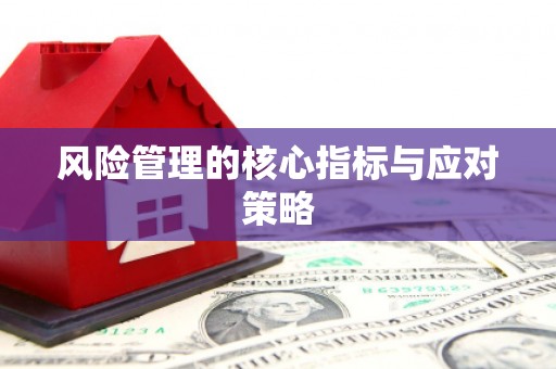 民雄风险管理的核心指标与应对策略