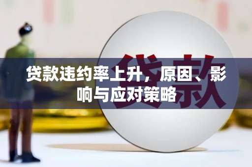 民雄贷款违约率上升，原因、影响与应对策略