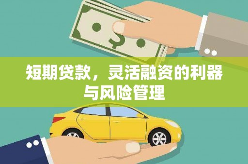 民雄短期贷款，灵活融资的利器与风险管理