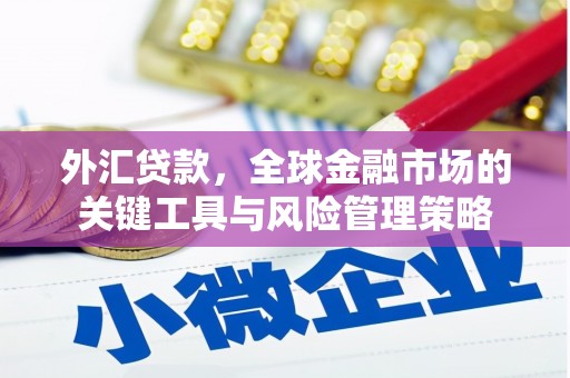民雄外汇贷款，全球金融市场的关键工具与风险管理策略