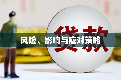 民雄风险、影响与应对策略