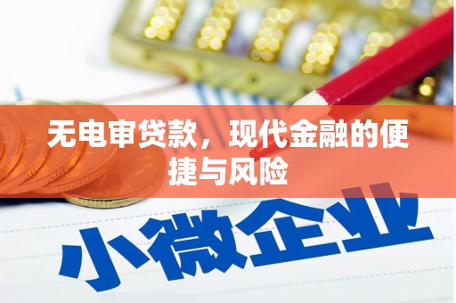 民雄无电审贷款，现代金融的便捷与风险