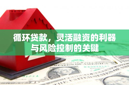 民雄循环贷款，灵活融资的利器与风险控制的关键