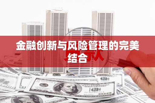 民雄金融创新与风险管理的完美结合