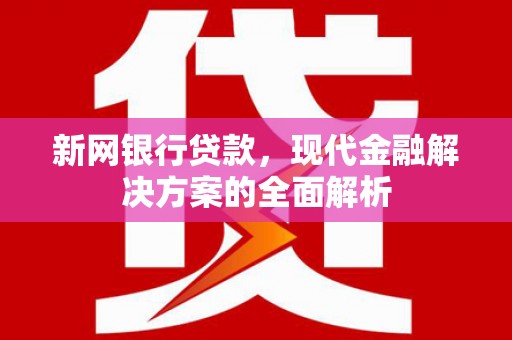 民雄新网银行贷款，现代金融解决方案的全面解析