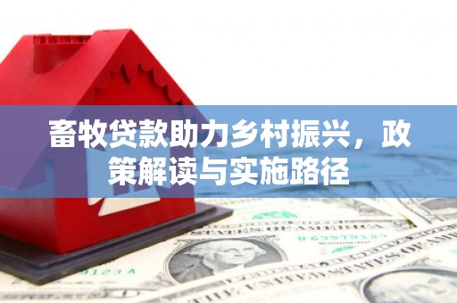民雄畜牧贷款助力乡村振兴，政策解读与实施路径