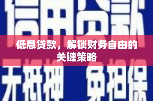 民雄低息贷款，解锁财务自由的关键策略