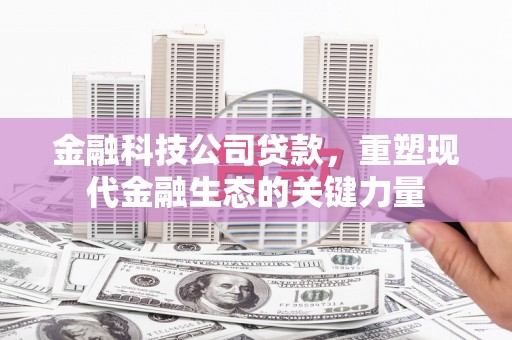 民雄金融科技公司贷款，重塑现代金融生态的关键力量