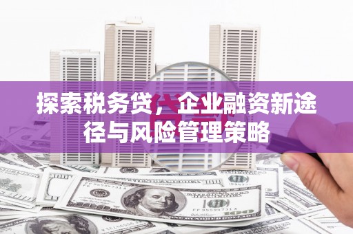 民雄探索税务贷，企业融资新途径与风险管理策略