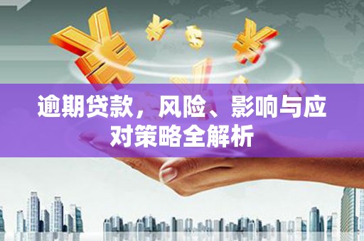 民雄逾期贷款，风险、影响与应对策略全解析