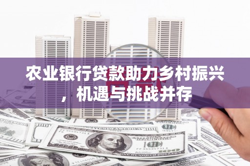 民雄农业银行贷款助力乡村振兴，机遇与挑战并存