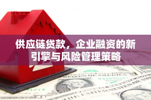 民雄供应链贷款，企业融资的新引擎与风险管理策略