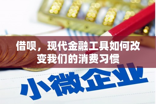 民雄借呗，现代金融工具如何改变我们的消费习惯