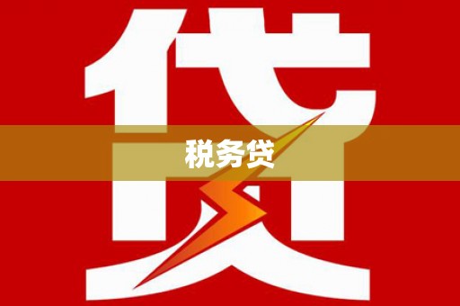 民雄税务贷