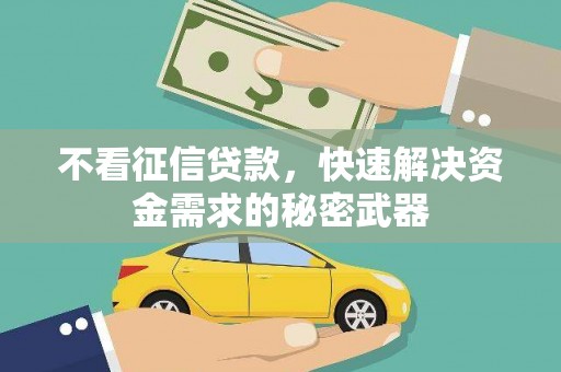 民雄不看征信贷款，快速解决资金需求的秘密武器