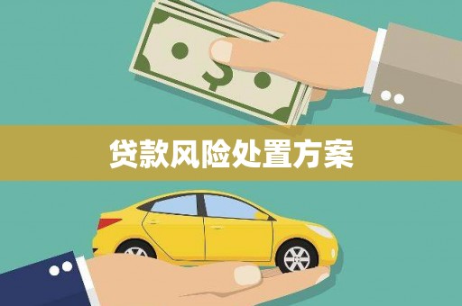 民雄贷款风险处置方案