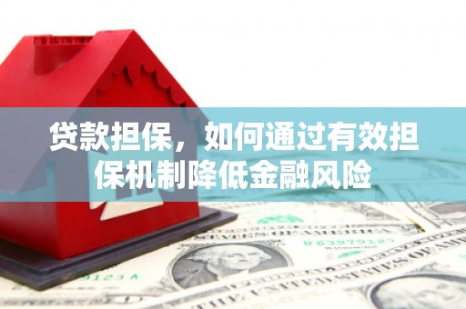 民雄贷款担保，如何通过有效担保机制降低金融风险