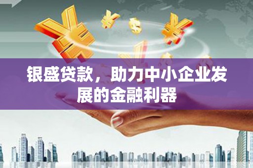 民雄银盛贷款，助力中小企业发展的金融利器