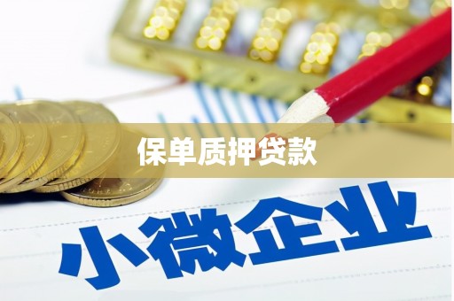 民雄保单质押贷款