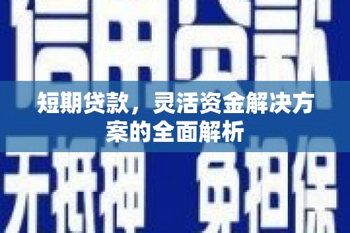 民雄短期贷款，灵活资金解决方案的全面解析