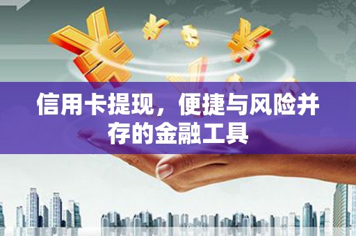民雄信用卡提现，便捷与风险并存的金融工具