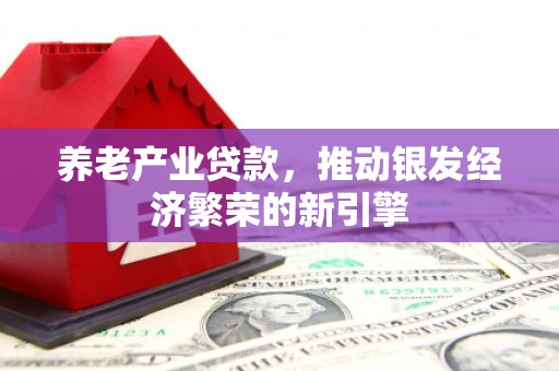 民雄养老产业贷款，推动银发经济繁荣的新引擎