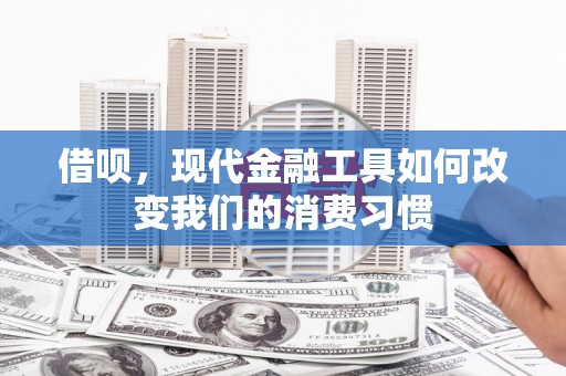 民雄借呗，现代金融工具如何改变我们的消费习惯