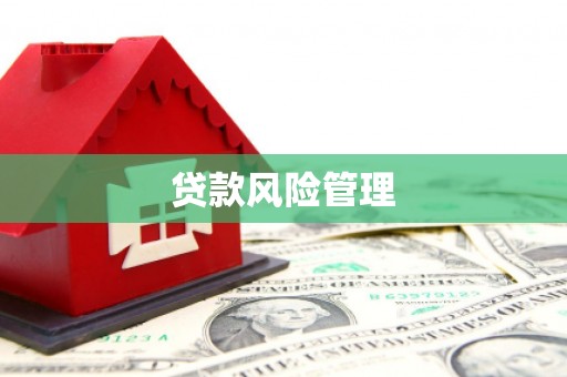 民雄贷款风险管理