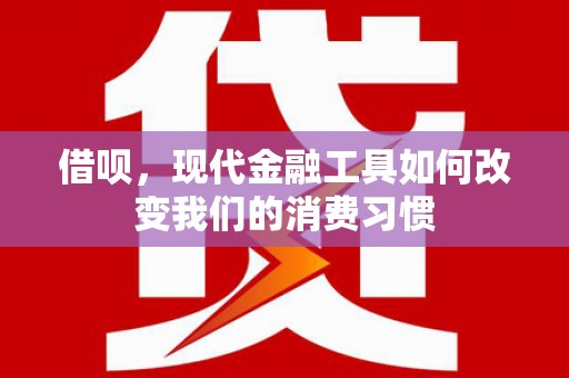 民雄借呗，现代金融工具如何改变我们的消费习惯