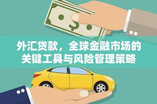 民雄外汇贷款，全球金融市场的关键工具与风险管理策略