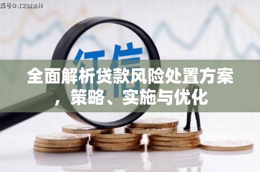 民雄全面解析贷款风险处置方案，策略、实施与优化