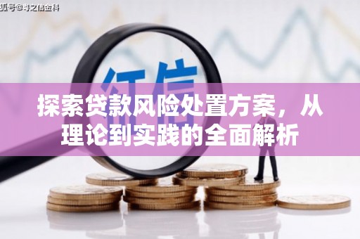 民雄探索贷款风险处置方案，从理论到实践的全面解析